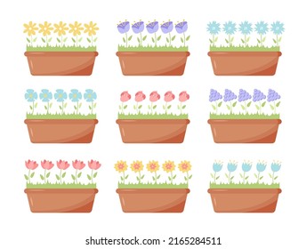 Collection of house and garden flowers in long pots. Flat vector illustration of flowers beautiful collection. Design elements for home and office interiors, banners, advertising posters, flower shops