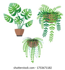 Collection of house plants abstract illustration on white background.