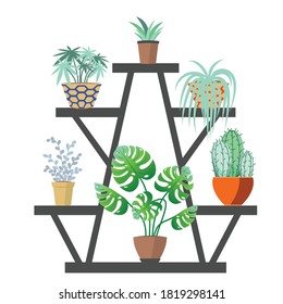 Collection of house plants abstract illustration on white background.