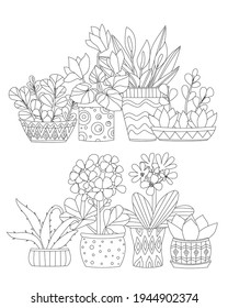 collection of houseplants in decorative flowerpots with geometric ornament for your coloring book