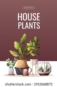 Collection of houseplants. Florarium, home garden, greenhouse, gardening, potted plant concept. A4 vector illustration for poster, banner, flyer, advertising, commercial, promo. 