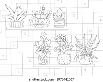 collection of houseplants in flowerpots on shelves against abstract wallpaper for your coloring pages