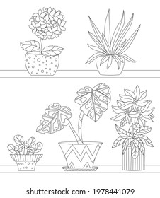 collection of houseplants in flowerpots on shelves for your coloring pages