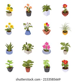 Collection of Houseplants Isometric Icons 

