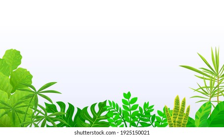 Collection of houseplants on white background. Vector illustration of green leaves pattern.