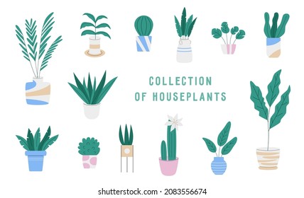Collection of houseplants in pots on white background. Vector illustration in flat style