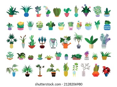 Colección de plantas domésticas en macetas y jarrones de estilo plano.