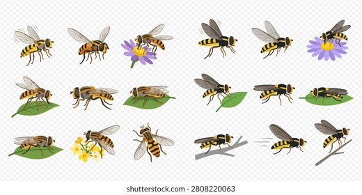 A collection of hoverflies in various poses, including flying, resting on leaves, and interacting with flowers, showcasing their detailed features.