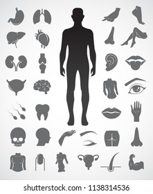 Collection of human anatomy icon set. Vector art.