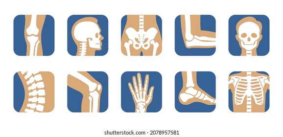 Collection human bones icon vector flat illustration. Set person skeleton skull joint, knee, leg, pelvis, chest, elbow, foot and hand isolated. Orthopedic anatomical medical education symbol