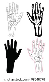 Collection of human hands and bones - Vector Designed EPS10