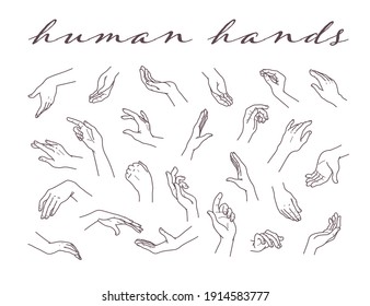 Collection of human hands  in different gestures and posses isolated on white background. Vector hand drawn line art illustration. For banners, ads, emblems, tags, packaging, logo, advertisement.