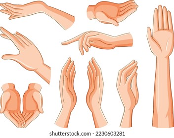 Collection of human hands illustration