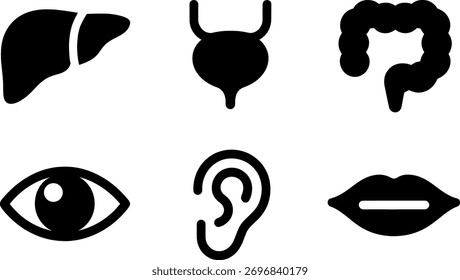 Eine Sammlung von menschlichen inneren Organvektorsymbolen. Dieses Set enthält Symbole wie Leber, Blase, Darm, Auge, Ohr und Mund. Einzeln auf weißem Hintergrund.