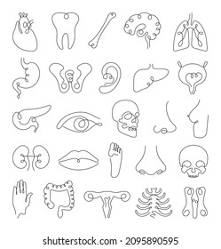 Collection of human organs drawn by one line. Linear art for creating prints and tattoos. Line work.