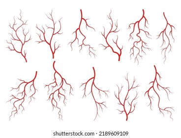 Collection Of Human Veins. Red Silhouette Vessels, Arteries Or Capillaries On White Background. Concept Anatomy Element For Medical Science. Vector Isolated Symbol Of Blood System