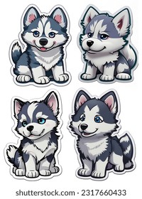 The Collection of Husky puppy