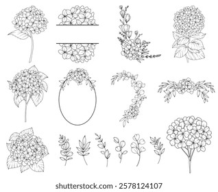 Collection of Hydrangea flowers, branches and frames, hand drawn botanical line drawing, vector floral line art illustration for wedding, logo, advertising, packaging