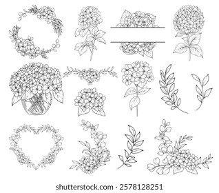 Collection of Hydrangea flowers, branches and frames, hand drawn botanical line drawing, vector floral line art illustration for wedding, logo, advertising, packaging