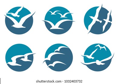 collection of icon with flying seagull silhouettes