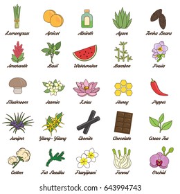 Collection of icons for aromatic plants, herbas and woods for essense oils production. Perfume fragrance aroma ingredients.