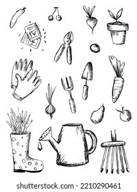 collection of icons everything for the garden spring gardening sketch. Vector