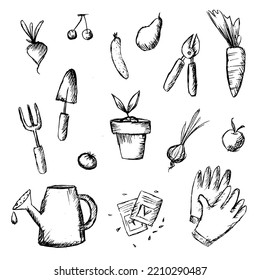 collection of icons everything for the garden spring gardening sketch. Vector