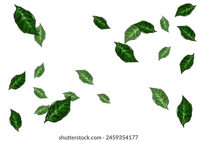collection of icons of falling green leaves without background
