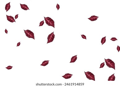 collection of icons of falling red leaves without background