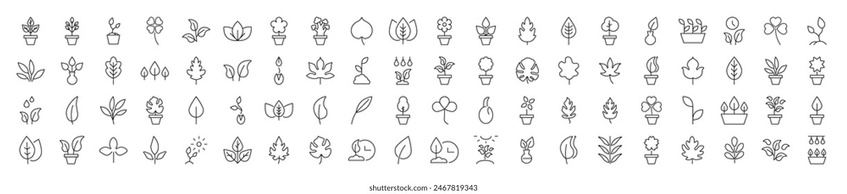 Collection of icons of Leaf for Advertisement. Suitable for books, stores, shops. Editable stroke in minimalistic outline style. Symbol for design 