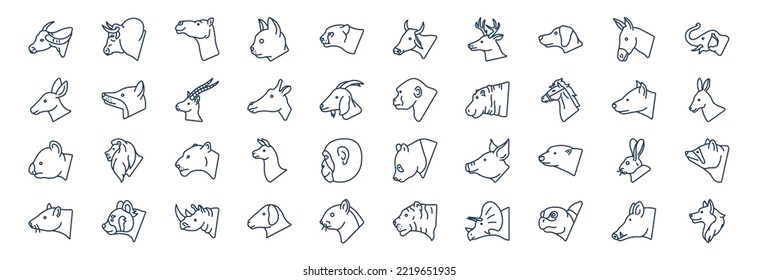 Collection of icons related to Animal Head, including icons like Bull, Cat, Panda, Lion and more. vector illustrations, Pixel Perfect set
