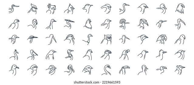 
Collection of icons related to Birds, including icons like Avocet, Duck, Cardinal and more. vector illustrations, Pixel Perfect set