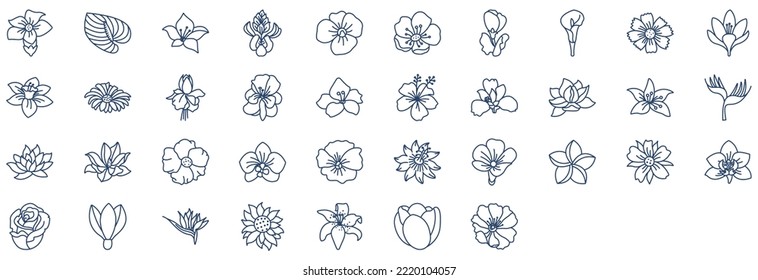 Collection of icons related to Flowers, including icons like Iris, Poppy, Snowdrop, Rose and more. vector illustrations, Pixel Perfect set