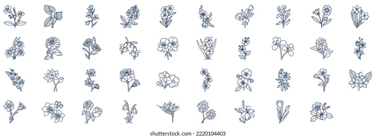 
Collection of icons related to Flowers, including icons like Fuchsia, Daisy, Sunflower and more. vector illustrations, Pixel Perfect set