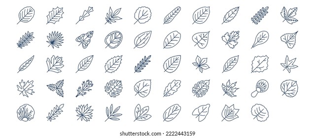 
Collection of icons related to Leaf, including icons like Alder, Arugula, Aspen, Ash, Banana and more. vector illustrations, Pixel Perfect set