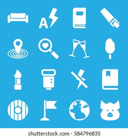 collection icons set. Set of 16 collection filled icons such as pig, sofa, globe, brush, map location, saw, flag, heart search, wine glass, camera flash, photo album, no flash
