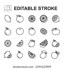 Collection of icons of various types of oranges, orange slices. Thin line style vector.