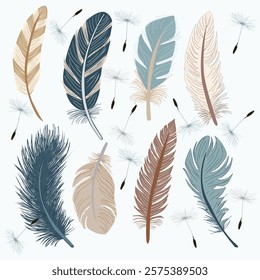 Collection Illustration of various of bird feathers for children's books or textile printing Tribal feathers, boho vector symbol for used for background, texture, wrapper pattern, frame or border 