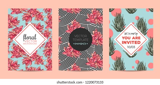 The collection of illustrations with beautiful succulents decoration. Vector floral set. Botanical and abstract geometric background template.