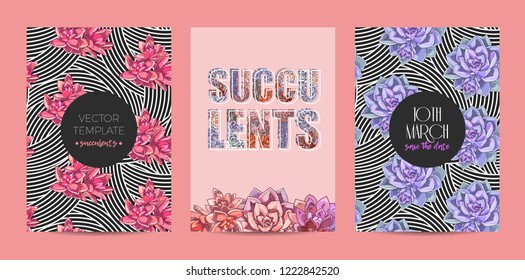 The collection of illustrations with beautiful succulents decoration. Vector floral set. Botanical and abstract geometric background template.