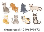 A collection of illustrations of cats in various poses.