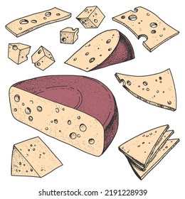 Collection of illustrations of different cheeses. Vector hand-drawn sketches. Vintage style engraving. Color illustration