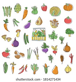 Collection of illustrations of interesting vegetables,
