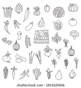 Collection of illustrations of interesting vegetables,