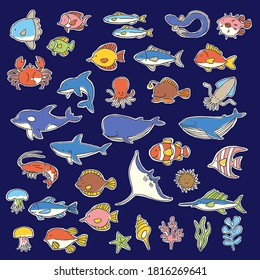 Collection of illustrations of a pretty fish,
