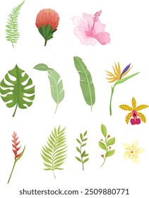 Coleção de ilustrações de flores tropicais de verão e folhas, hibiscus, orquídeas selvagens e muito mais