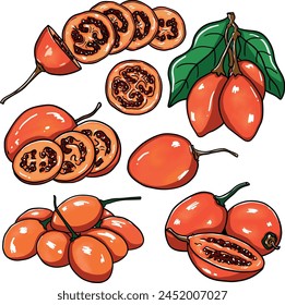 collection of illustrations of tamarillo or tree tomato, exotic, tropical fruit