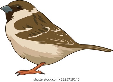 a collection of illustrations of various animals to help with nature learning