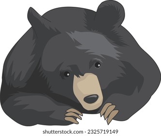 una colección de ilustraciones de diversos animales para ayudar con el aprendizaje de la naturaleza
