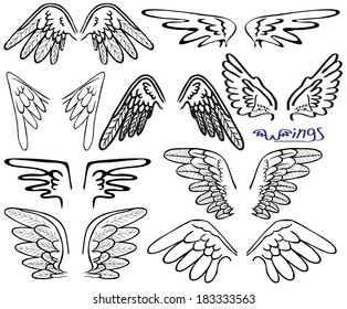 Collection of images of black wings tsvetomna white background.